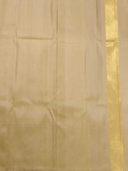 Tussar colour raising kanchivaram silk saree Code : KA0494