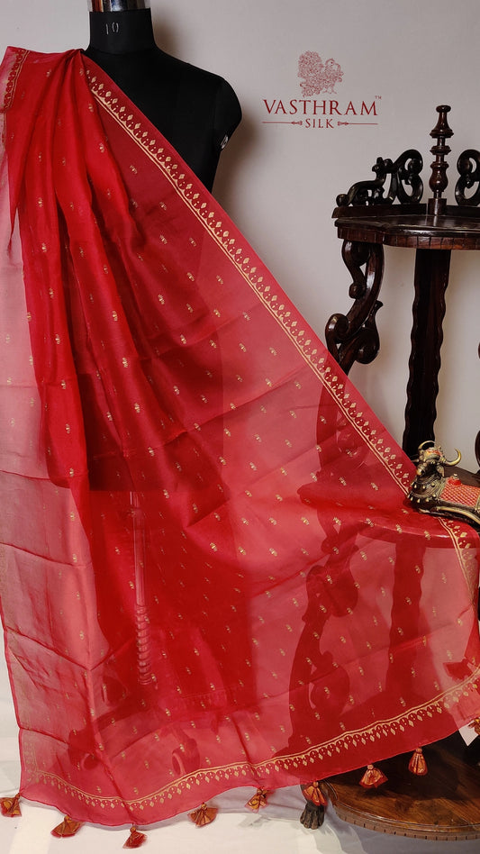 Organza Silk Dupatta Code : O1022VB172104